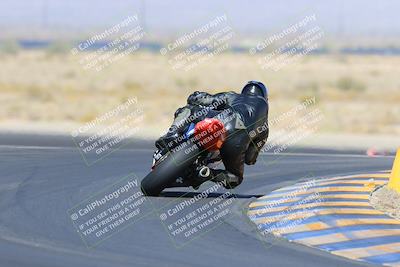 media/May-13-2023-SoCal Trackdays (Sat) [[8a473a8fd1]]/Turn 11 Backside (945am)/